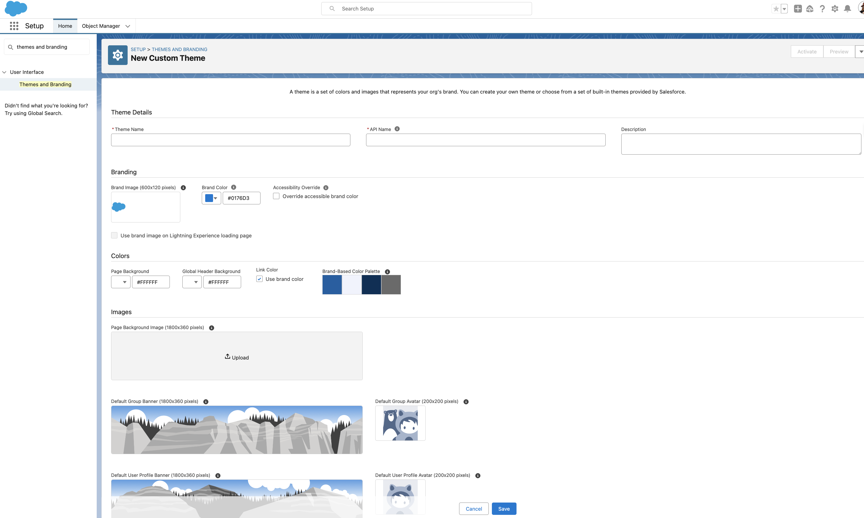 Salesforce Themes and Branding setup page